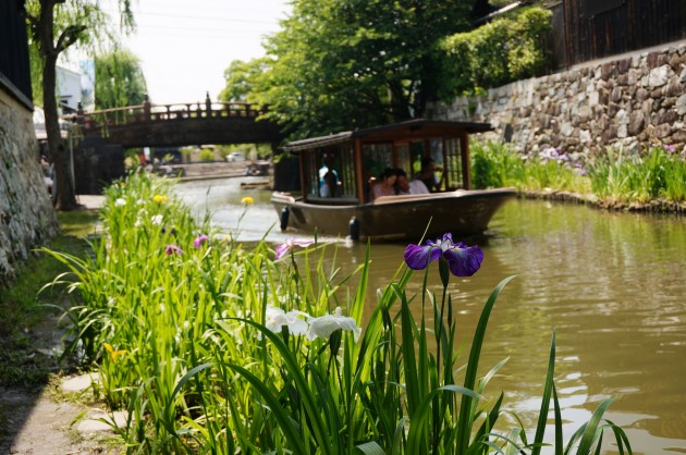 戦国時代に浸る?街並みを散策する?近江八幡市の観光スポットおすすめランキング