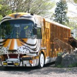 自然の魅力溢れる「静岡県」の観光名所おすすめランキング 人気５選