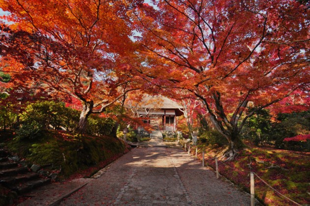 京都・常寂光寺