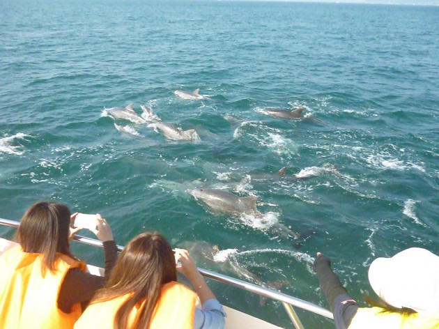 イルカマリンワールド