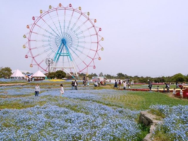 国営海の中道海浜公園