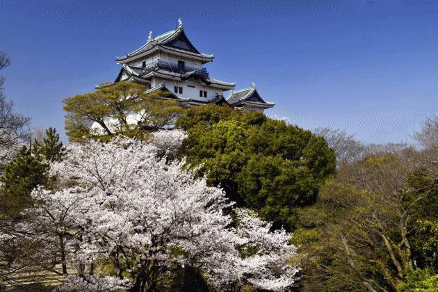 136465355811013227333_2013033003LD_20130330232558