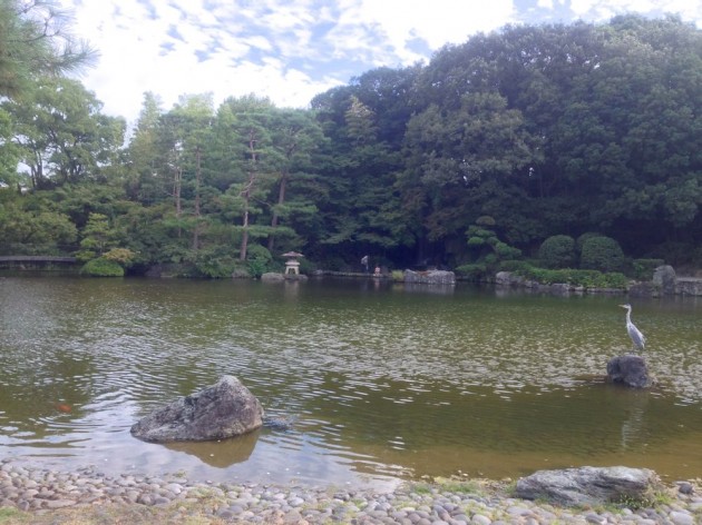 石橋文化センターの日本庭園