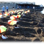 指宿で絶対行きたい！観光スポットおすすめランキング