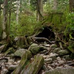 世界遺産「屋久島」で絶対見たい！観光スポットおすすめ6選