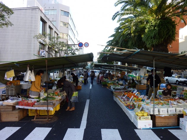 30298314_large_v1452624018