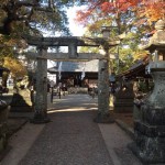 日本三代美肌の湯「嬉野温泉」で有名な「嬉野」の観光スポットおすすめランキング