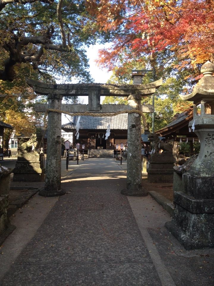 日本三代美肌の湯「嬉野温泉」で有名な「嬉野」の観光スポットおすすめランキング