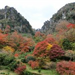 日本新三景の耶馬渓で有名な「中津」の観光スポットおすすめランキング