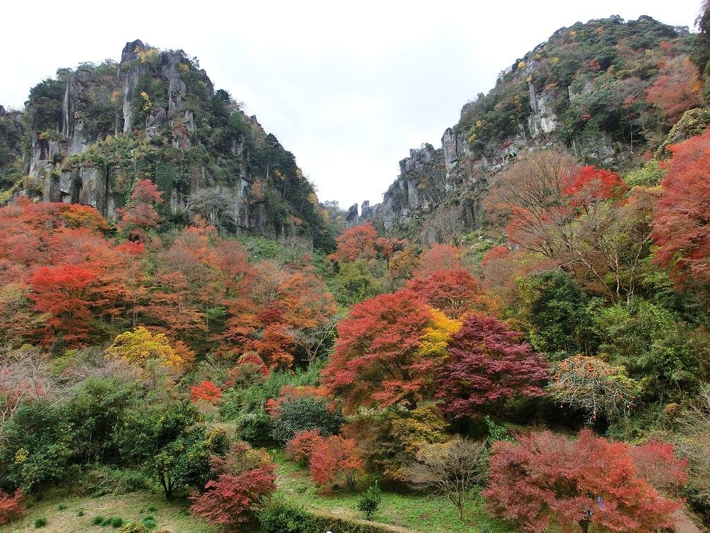 日本新三景の耶馬渓で有名な「中津」の観光スポットおすすめランキング