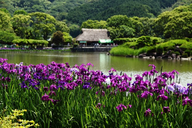 南楽園