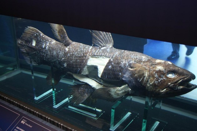 ふくしま海洋科学館・アクアマリンふくしま