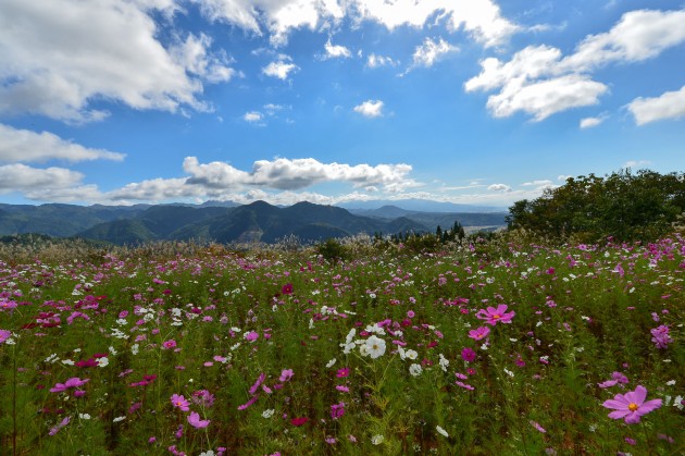 三ノ倉スキー場