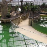 麗しの古都「ケルン」の観光スポットおすすめランキング