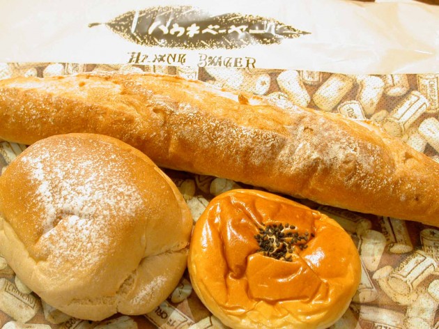 ハウネベーヤー