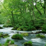 見どころ満載「青森県」の観光スポットおすすめランキング