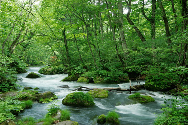 見どころ満載「青森県」の観光スポットおすすめランキング