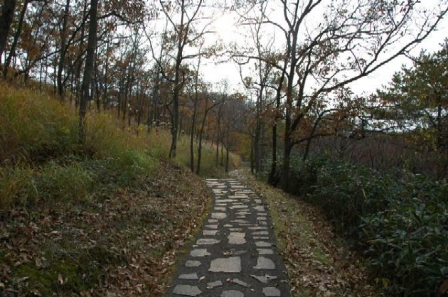 清流の森遊歩道