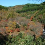 自然との触れ合いが楽しい「黒川温泉」周辺の観光スポットおすすめランキング