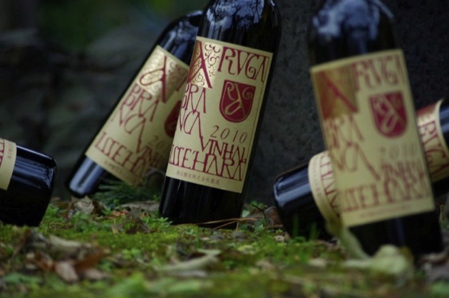 アルガブランカ_ヴィニャル_イセハラ