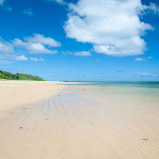 西表まーれの浜