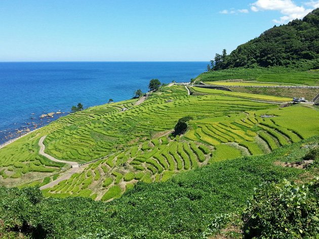 img05_jpg__630x473_q85_subsampling-2