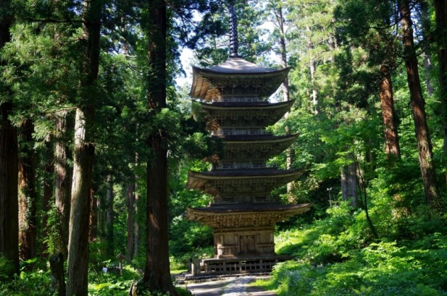 o0800053013337045921