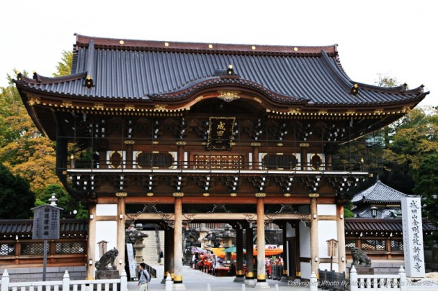 o0800053312280686679