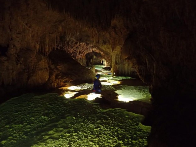 1935296_1041930775828425_7043878314816712199_n