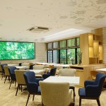 国内外のスイーツ集結！表参道のスイーツおすすめランキング