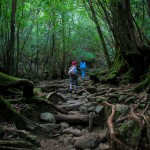 神の宿る大自然を楽しむ「屋久島」登山のおすすめコース５選