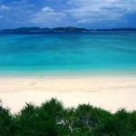 青い海、白いサンゴ礁の癒しの空間を満喫する「慶良間諸島」でのダイビング