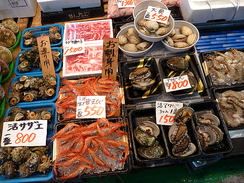 泉佐野漁港　セリ