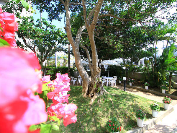 グランティア　中庭