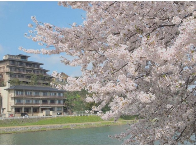 桜　由屋るる犀々