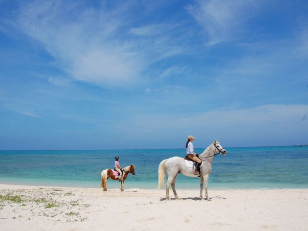 アリビラアクティビティ