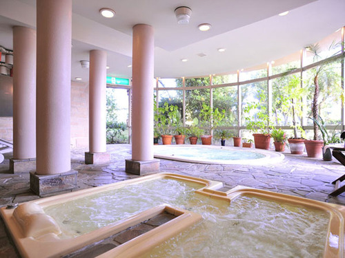 ホテル ラ シェネガの施設