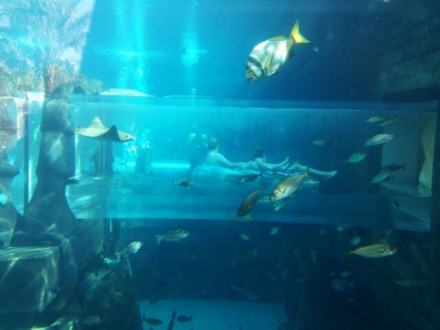 アクアベンチャー・ウォーターパーク2