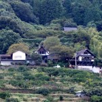 自然豊かな「和歌山」のグルメなランチおすすめランキング