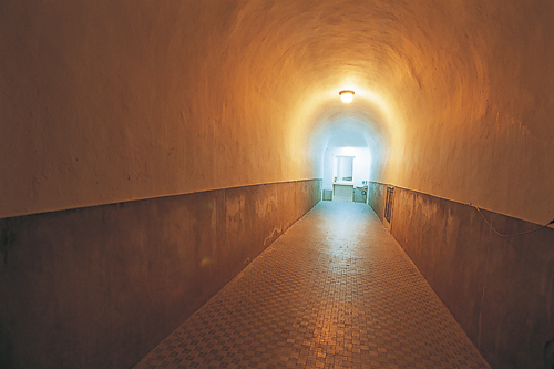 東和楼 トンネル