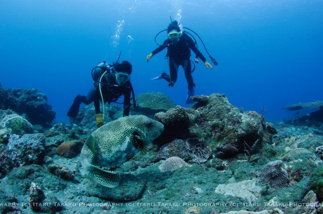 ライセンスコース１