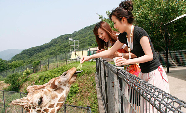 姫路セントラルパーク餌やり