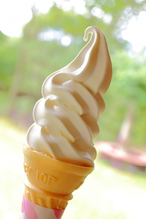 カップルソフト