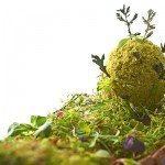 レストランに泊まる美食の旅へ。今訪れたいオーベルジュおすすめ７選