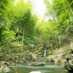映画の世界に入り込んだような山間の湯宿「秘境 白川源泉 山荘 竹ふえ」