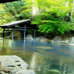 わざわざ行きたい！泉質重視の「名湯温泉宿」おすすめ７軒