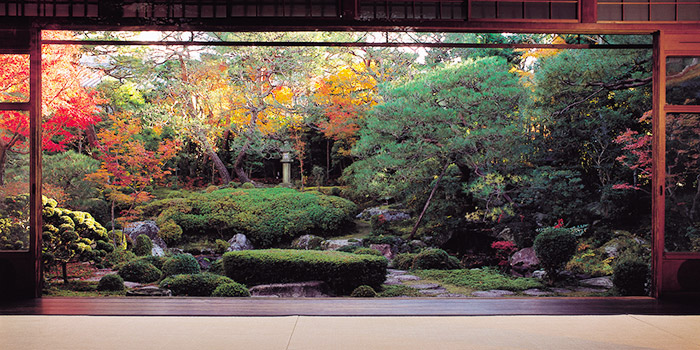 古都・京都の秋を満喫できる「紅葉名所近くのレストラン」おすすめ７選