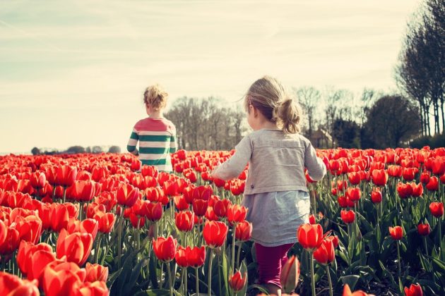 子育て世代から見るオランダでの現地生活あれこれ