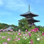 日本の世界遺産特集（１）「法隆寺地域の仏教建造物（奈良県）」