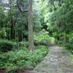 日本の世界遺産特集（6）第六回「紀伊山地の霊場と参詣道（三重県・奈良県・和歌山県）」